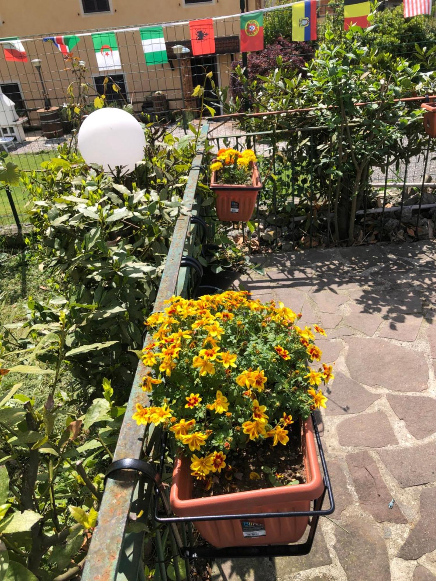 Villa La Primula Vicinanza 5 Terre Riccò del Golfo di Spezia Esterno foto